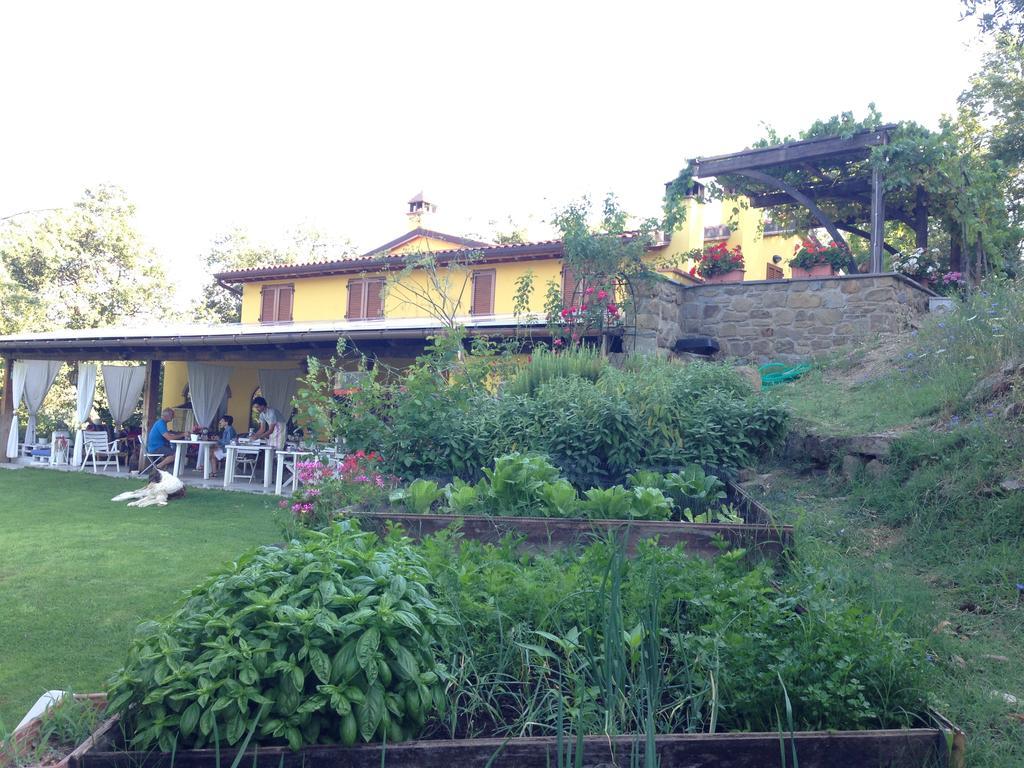Agriturismo Borgo Nuovo Di Mulinelli Арецо Екстериор снимка